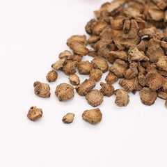 日本珍珠牛蒡茶（300g）